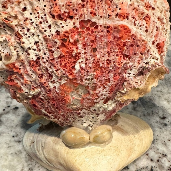 Handcrafted Shell Art with Cross & Flowers decor Galveston tx 7x5in - Picture 4 of 4